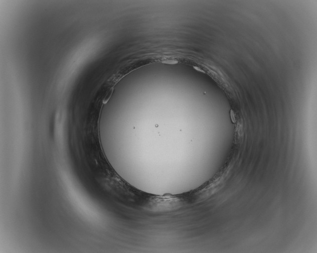 X0000112180429200908141329