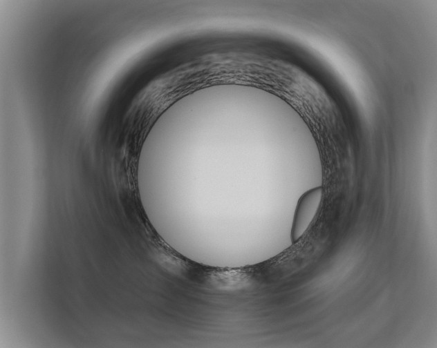 X0000112180431200908141329