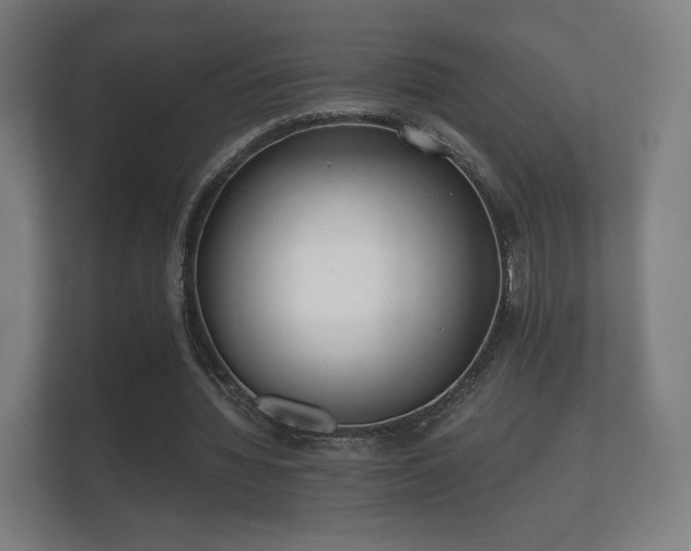 X0000112180436200908141329