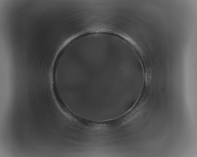 X0000112180438200908141329