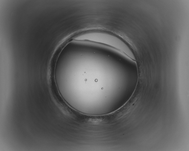 X0000112180440200908141329