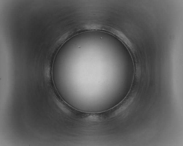 X0000112180441200908141329