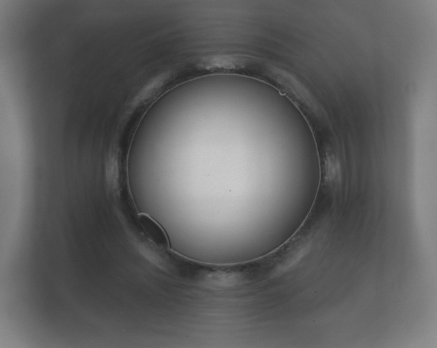 X0000112180444200908141329