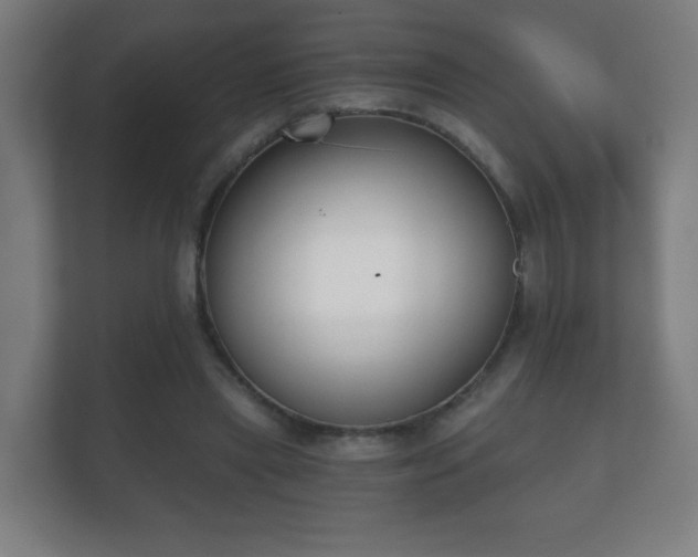 X0000112180445200908141329