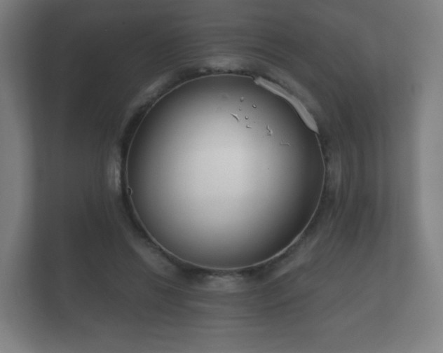 X0000112180446200908141329