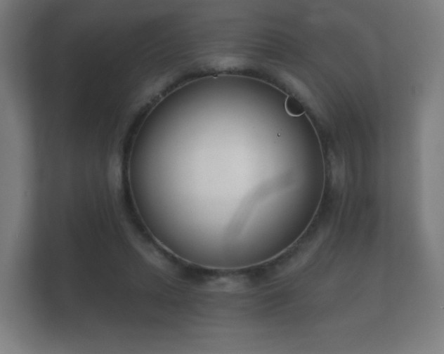 X0000112180447200908141329