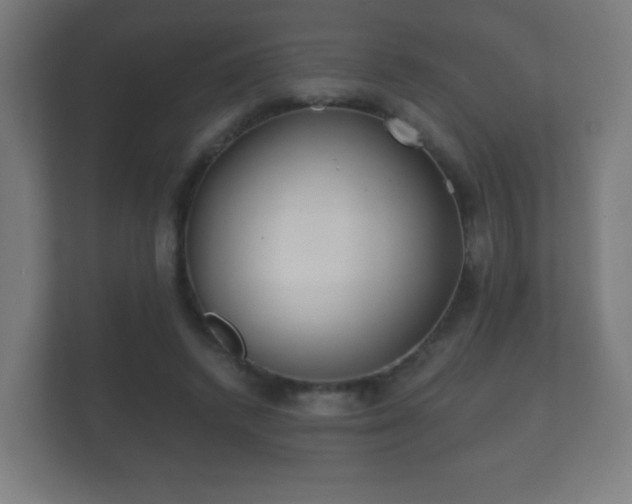 X0000112180448200908141329