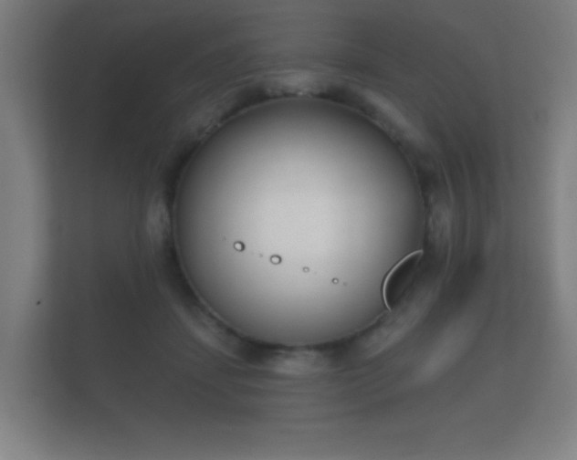 X0000112180459200908141329