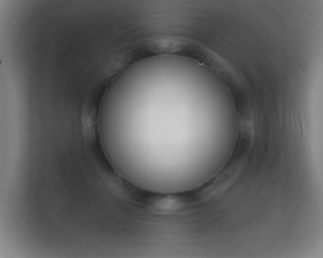 X0000112180460200908141329