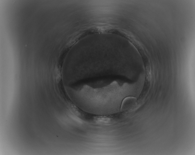 X0000112180471200908141329