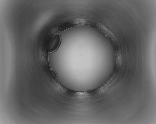 X0000112180477200908141329