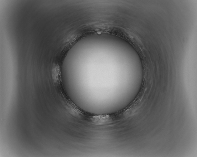 X0000112180480200908141329