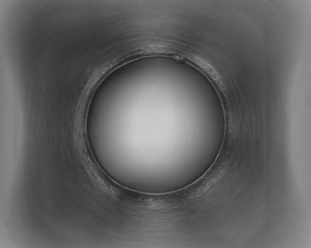 X0000112180481200908141329