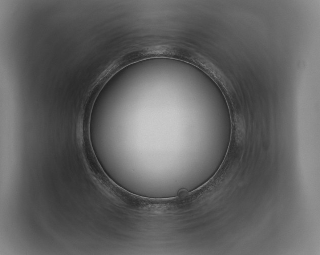 X0000112180482200908141329