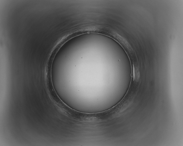 X0000112180483200908141329