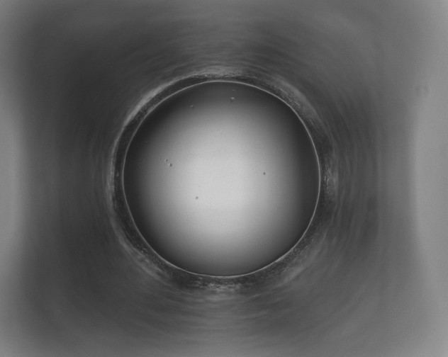 X0000112180484200908141329