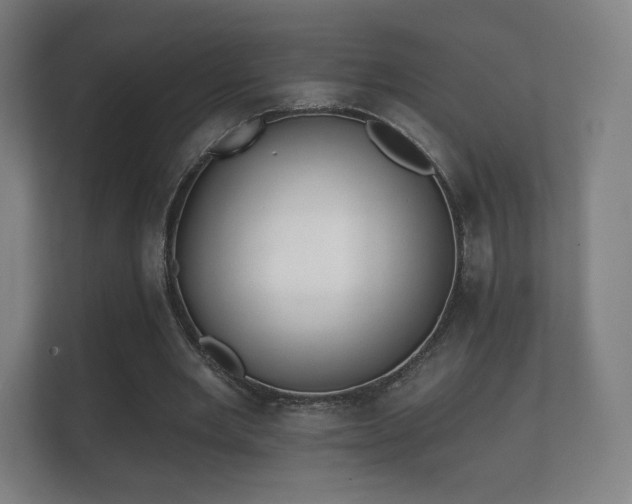 X0000112180485200908141329