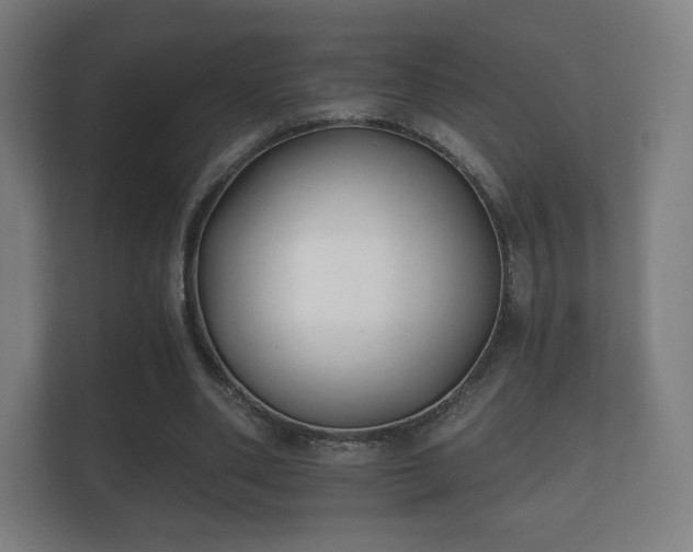 X0000112180486200908141329