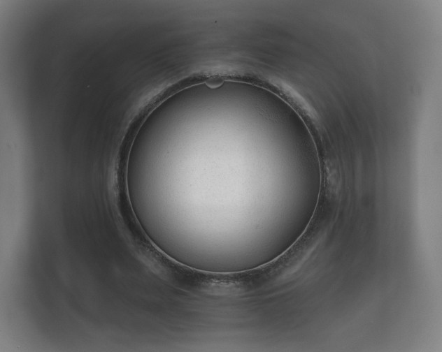 X0000112180487200908141329