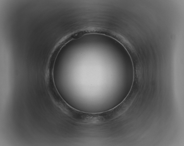 X0000112180488200908141329