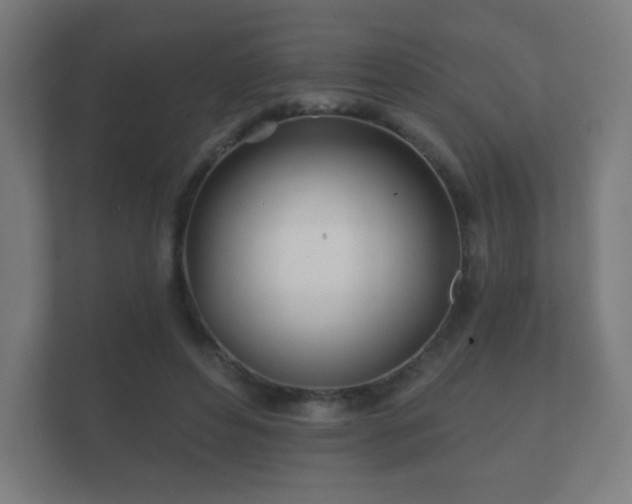 X0000112180496200908141328