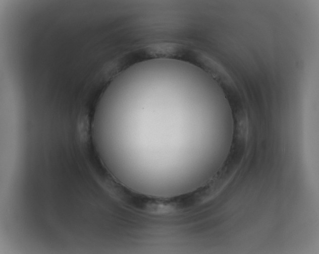 X0000112180498200908141328