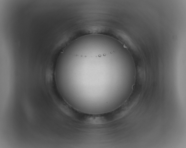 X0000112180499200908141328