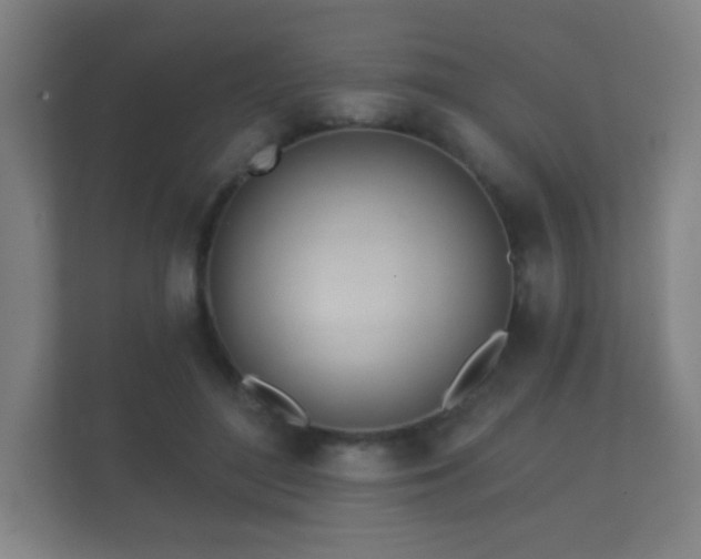 X0000112180500200908141328