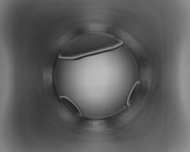 X0000112180501200908141328