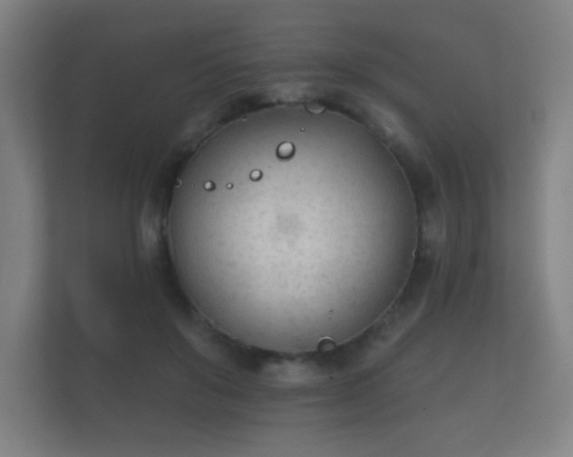 X0000112180503200908141328