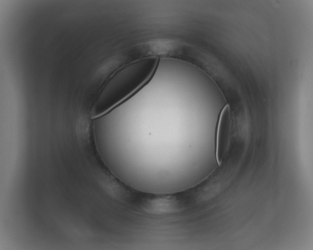 X0000112180505200908141328