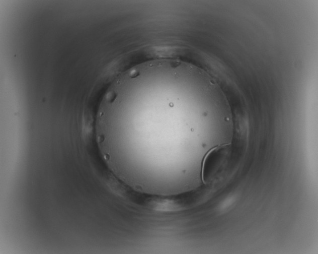 X0000112180507200908141328