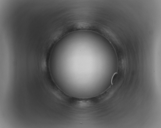 X0000112180508200908141328