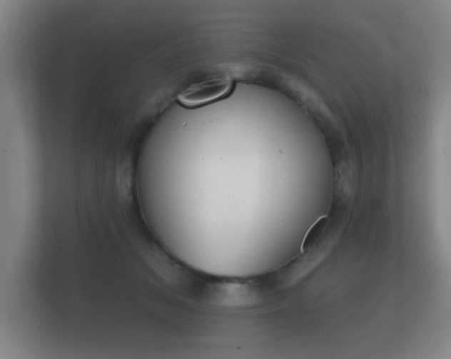 X0000112180509200908141328