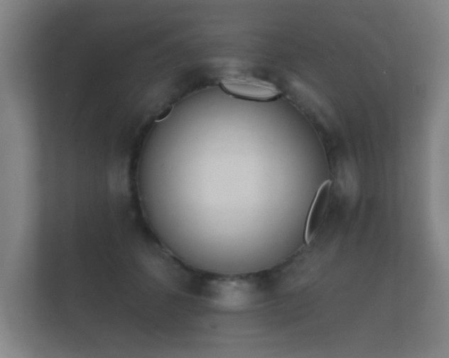 X0000112180512200908141328