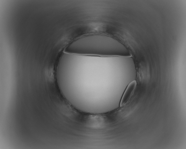 X0000112180520200908141328