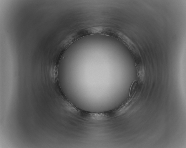 X0000112180525200908141328