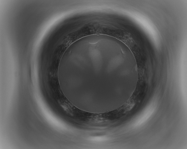 X0000112180526200908141328