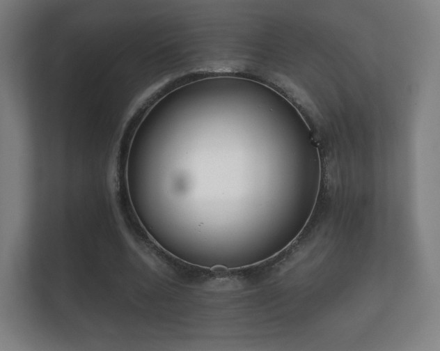 X0000112180536200908141327