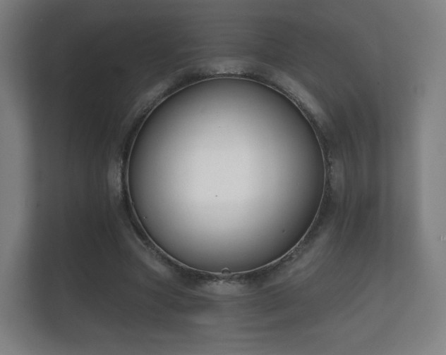 X0000112180537200908141327