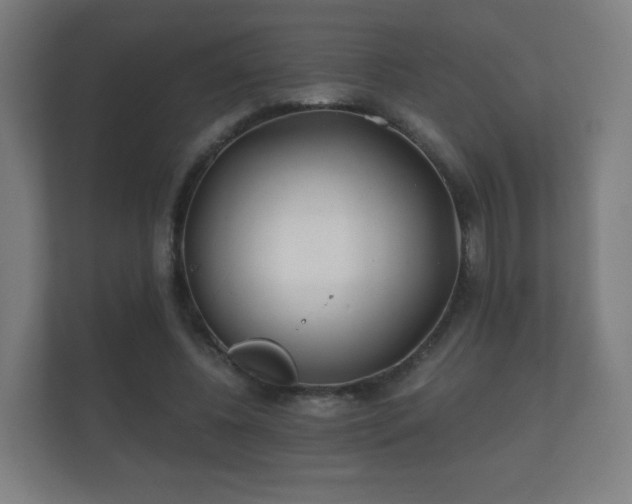 X0000112180540200908141328