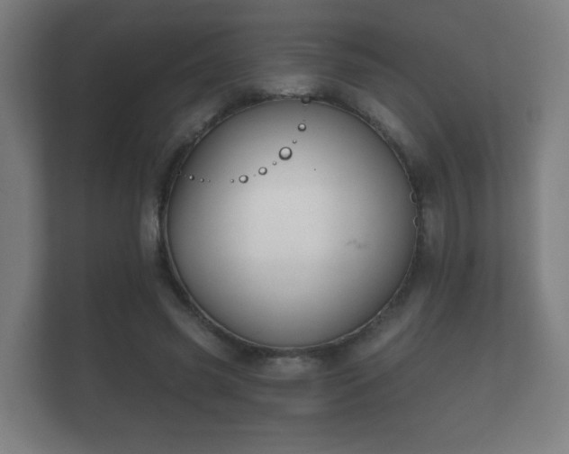 X0000112180541200908141328