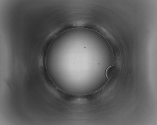 X0000112180543200908141328