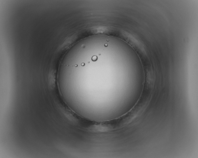 X0000112180545200908141328