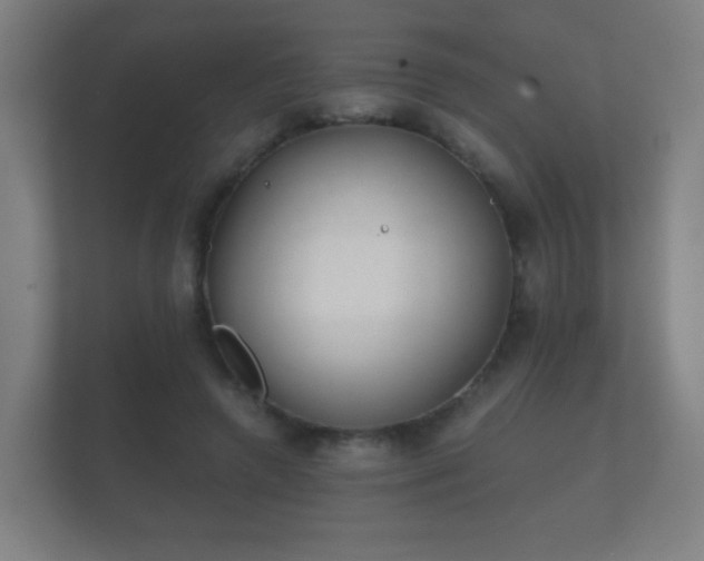 X0000112180546200908141328