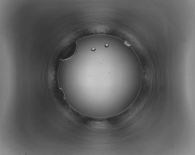 X0000112180548200908141328