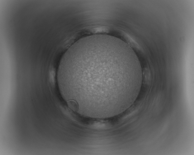 X0000112180550200908141328