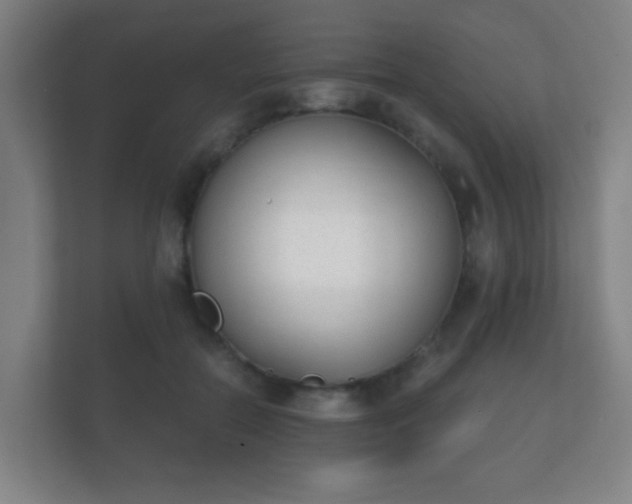 X0000112180554200908141328