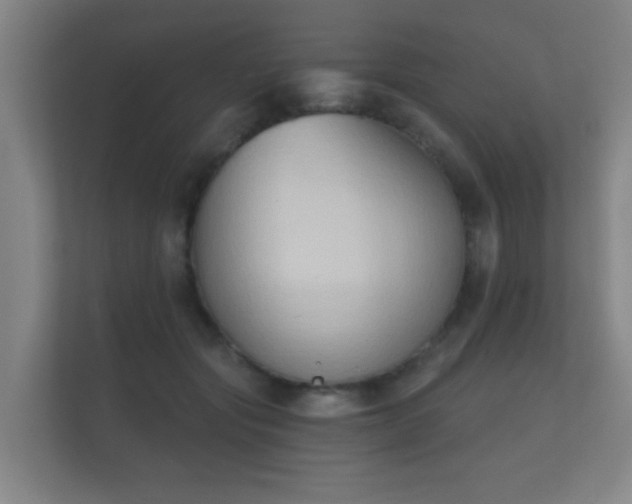 X0000112180557200908141328