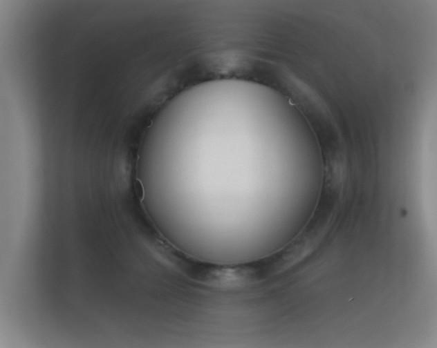 X0000112180558200908141328